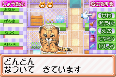 Aka-chan Doubutsuen Screenshot 1